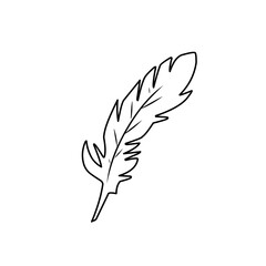 Obraz premium Hand drawn Doodle feathers