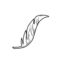 Hand drawn Doodle feathers