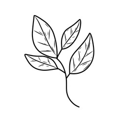 hand drawn natural leaf 
