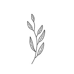 hand drawn natural leaf 