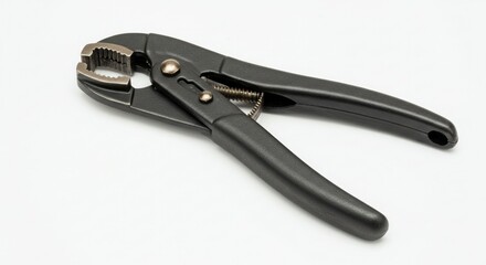 Obraz premium Black adjustable pliers on white background