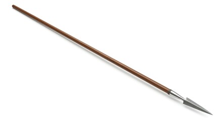Wooden spear with pointed metal tip