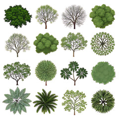 Fototapeta premium set of trees