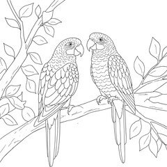 Two parrots sit facing each other on a leafy tree branch, illustrated in neat black-and-white line art perfect for coloring.