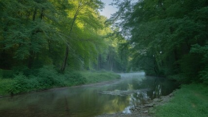 Serene morning mist shrouds a tranquil river flowing through a lush green forest.