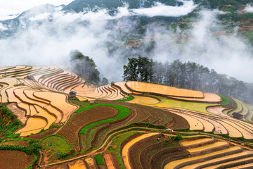  Hmong farmers prepare their fields and plant rice on terraced fields in Mu Cang Chai, Yen Bai....