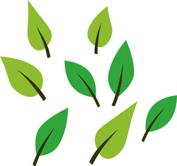 Flying Leaves Illustration