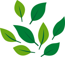 Flying Leaves Illustration