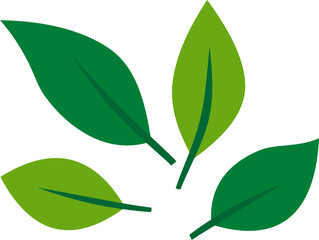 Flying Leaves Illustration