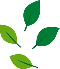 Flying Leaves Illustration