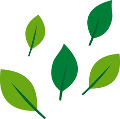 Flying Leaves Illustration