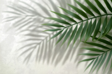 Fototapeta premium Palm leaf on white wall background. Faded shadow of a palm leaf on a white background.