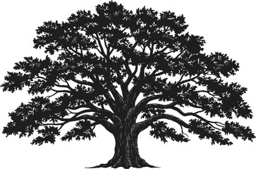 Fototapeta premium Illustration of majestic oak tree silhouette for nature lovers and graphic design enthusiasts alike