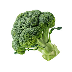 broccoli isolated on white