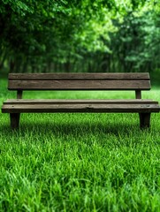 Rustic Wooden Bench Surrounded by Lush Green Grass in Tranquil Outdoor Setting