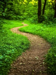 Serene Curved Path Through Lush Greenery in a Tranquil Forest Environment