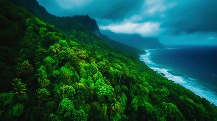 Lush Green Jungle Landscape with Ocean View under a Dramatic Cloudy Sky