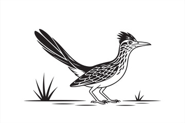 Fototapeta premium Roadrunner and Cactus – Minimalist Desert Scene in Line Art