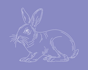 Rabbit bunny outline clip art animal vector illustration easter element isolated editable