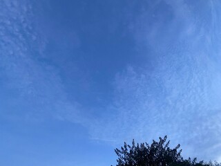 The sky in Thailand at 7pm and trees