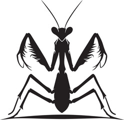 praying mantis vector illustration, praying mantis silhouette vector on a white