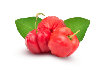 acerola cherries with green leaves on transparent background