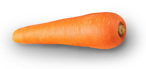 single carrot on transparent background