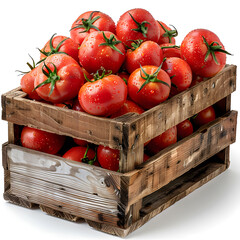 Wooden Crate with Ripe Tomatoes Isolated on Transparent or White Background, PNG