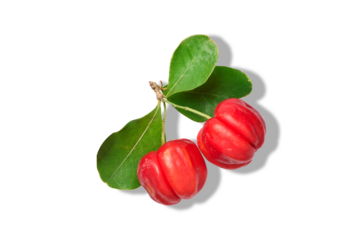 acerola cherry fruit with leaves on transparent background.