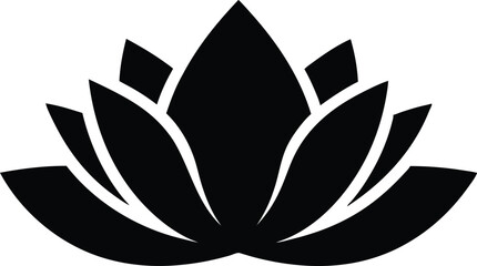 Water Lily Line Art, Black and White, Floral Design, Botanical Illustration,