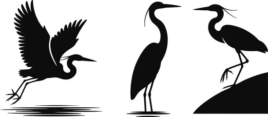 Vector silhouette herons near water on branch and rock with wings spread in nature setting