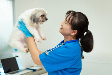 A middle-aged Asian female veterinarian is administering a vaccine or injection to a dog on a clinic table. She works with care and professionalism to ensure the pet’s health and safety