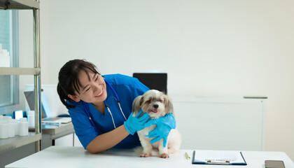 An Asian middle-aged female veterinarian gently trims a cute dog's nails at a clinic table. She...