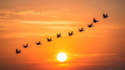 Obraz premium Birds in flight at sunset
