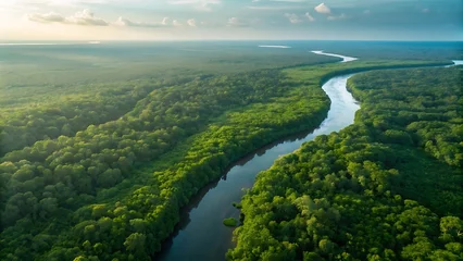 Papier peint photo Rivière en forêt Lush green forest canopy with winding river under soft sky jungle water  © Yeasin
