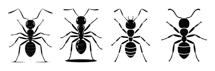 Four black silhouettes of ants, viewed from above, showcasing their segmented bodies and legs