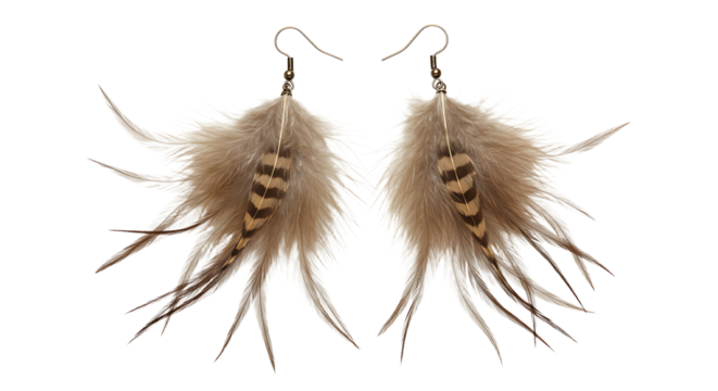 Elegant feather earrings
