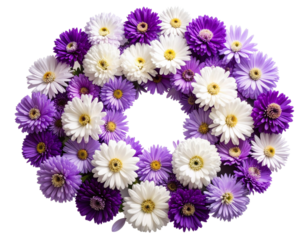 Top View of Scattered Aster Petals in Abstract Circular Layout, isolated on transparent background