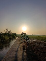 A mountain bike is stopped at the edge of a rice field in the morning.