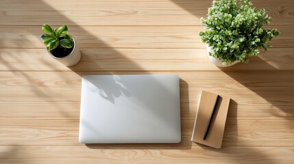 Contemporary Minimalist Desk Setup with Closed Laptop and Small Green Plant Enhancing Productivity and Tranquility in Home Office