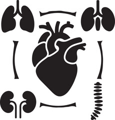 Medical healthcare line icon set. Vector pictograms of stethoscope, thermometer, syringe, pill, medicine, emergency, cross, heart, blood test, ambulance, bed, telehealth, thin linear illustration.