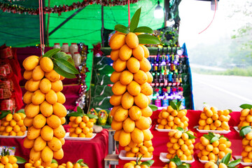Bunch Maprang fresh ripe organic sweet yellow marian plum or plum mango hanging from wooden beam for displaying to customers for sale is background of pile of fruits. Plango gold with green leaves.