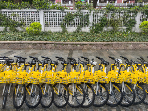 Bike sharing, China. Yellow bicycles parked in a row for rent.