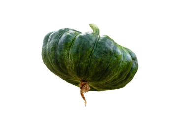 Green pumpkin young sweet kabocha round squash whole acorn pumpkin isolated on cut out PNG or transparent background.	 Vegetables and fruits from agricultural production of farmers.