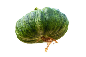 Green pumpkin young sweet kabocha round squash whole acorn pumpkin. Vegetables and fruits from agricultural production of farmers.	Isolated on cut out PNG or transparent background.