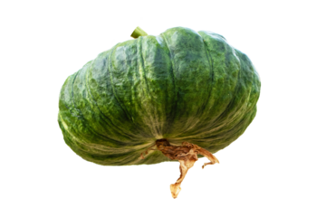 Green pumpkin young sweet kabocha round squash whole acorn pumpkin. Vegetables and fruits from agricultural production of farmers.	Isolated on cut out PNG or transparent background.