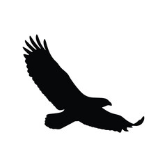 Majestic Eagle Silhouette Isolated on White Background