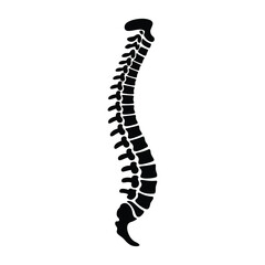 Human Spine Silhouette Illustration for Anatomy Medical or Healthcare Concepts
