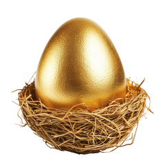Fototapeta premium golden nest egg side view isolate on transparency background