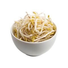 Bowl of Fresh Mung Bean Sprouts